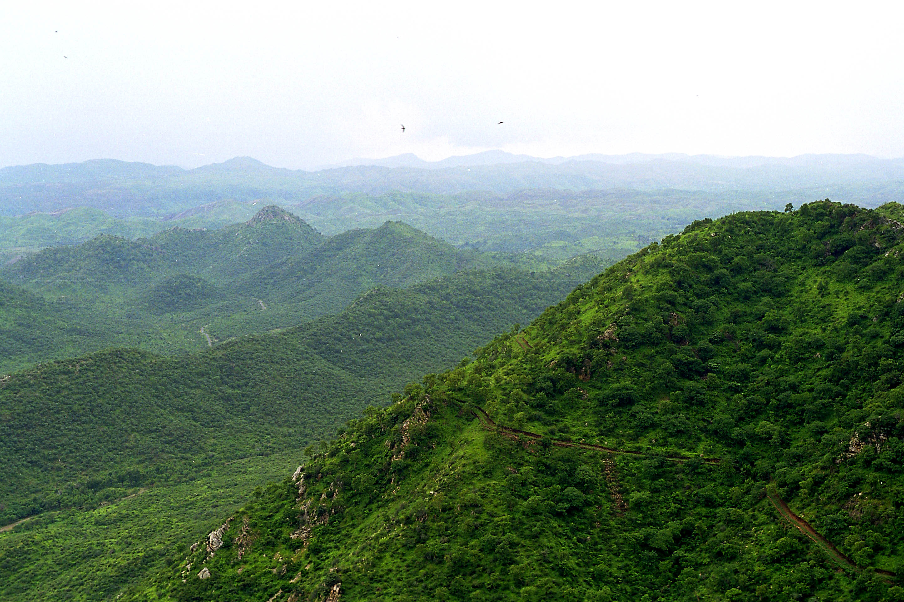 Aravalli Hills image
